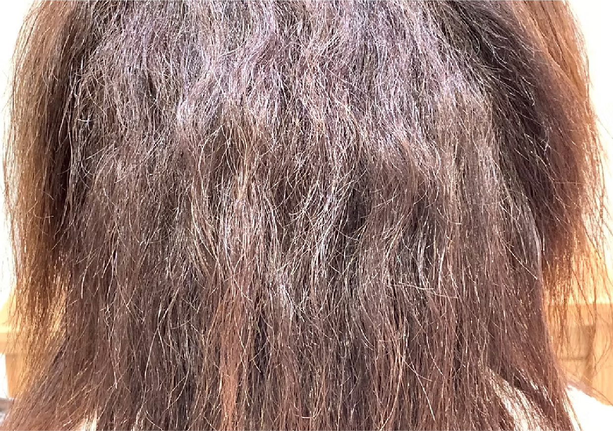 髪質診断