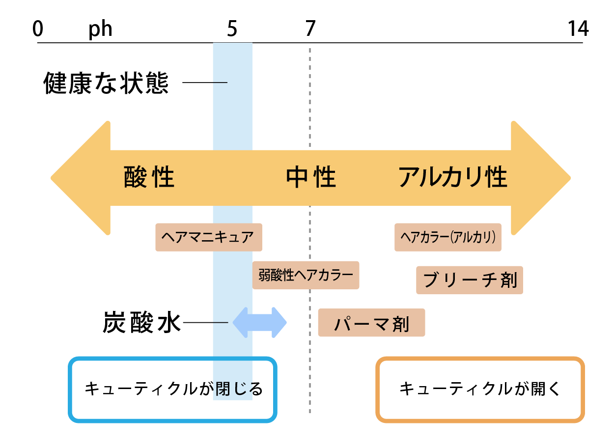 炭酸泉は髪を本来の弱酸性に近づける